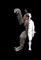 http://www.oliviercharpentier.com/files/gimgs/th-23_BDEF PR33-LOUP-GAROU.jpg